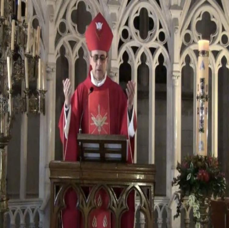 Mons. Fernández: "Con el Espíritu Santo la vida es confianza, es esperanza" Mons. Fernández: "Con el Espíritu Santo la vida es confianza, es esperanza"