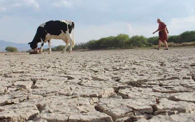 Crisis ecológica: ¡No hay más tiempo para esperar, tenemos que actuar!, pidió el Papa Crisis ecológica: ¡No hay más tiempo para esperar, tenemos que actuar!, pidió el Papa