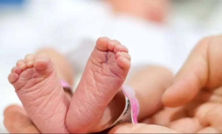 Alertan sobre la crisis demográfica en la Argentina Alertan sobre la crisis demográfica en la Argentina