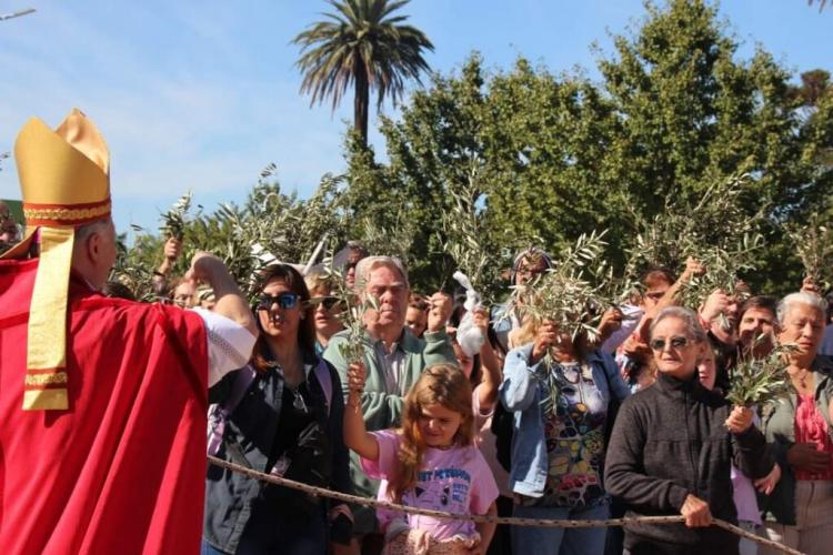 Domingo de Ramos: reflexiones episcopales para vivir la Semana Santa Domingo de Ramos: reflexiones episcopales para vivir la Semana Santa