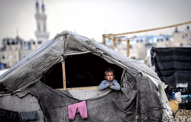 El Papa León envió medicamentos a la Franja de Gaza y ayuda a Ucrania El Papa León envió medicamentos a la Franja de Gaza y ayuda a Ucrania