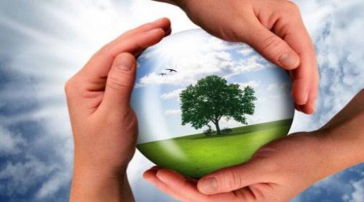 Jornada Mundial de Oración por el Cuidado de la Creación Jornada Mundial de Oración por el Cuidado de la Creación