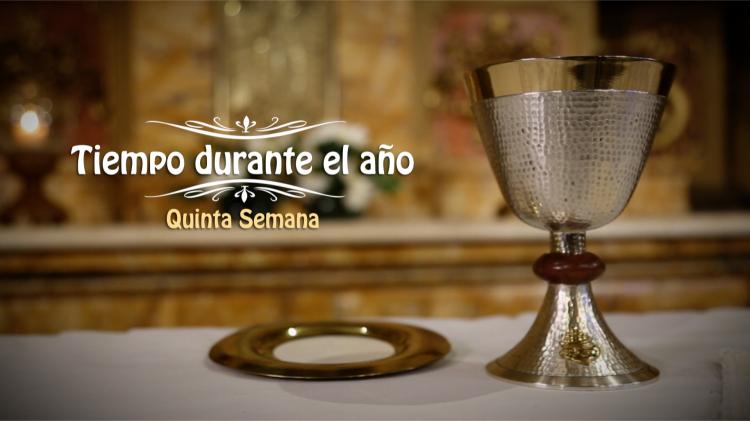 La misa del quinto domingo del tiempo ordinario, por TV, radio y streaming La misa del quinto domingo del tiempo ordinario, por TV, radio y streaming