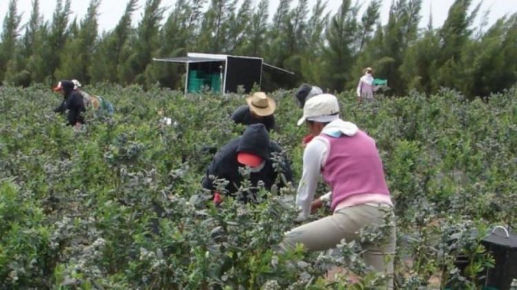 La Pastoral Social del NOA pide que 'no falte el trabajo' La Pastoral Social del NOA pide que 'no falte el trabajo'