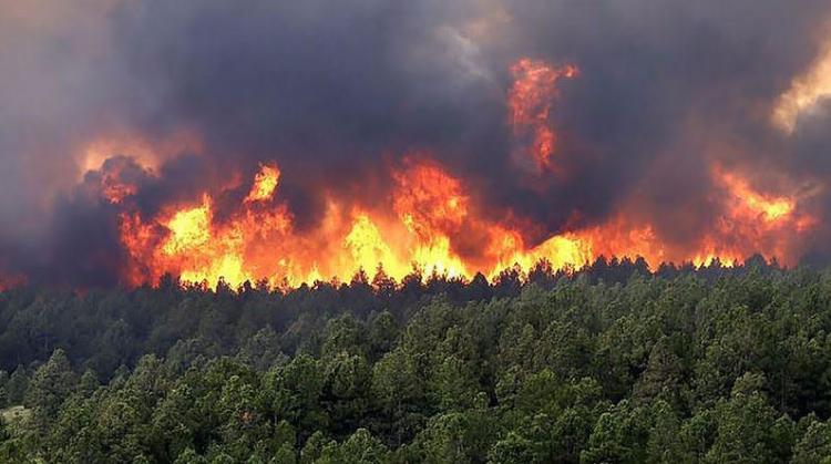 Los obispos de Colombia lanzan un SOS ante los incendios forestales Los obispos de Colombia lanzan un SOS ante los incendios forestales