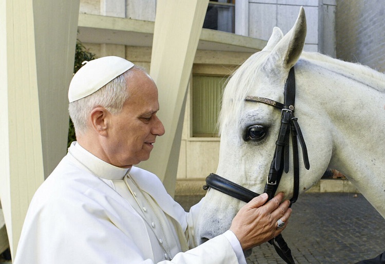 Qué hará el Vaticano con el caballo 'Proton' que le regalaron al Papa Qué hará el Vaticano con el caballo 'Proton' que le regalaron al Papa