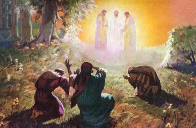 Mons. Azpiroz Costa: la mirada puesta en la esperanza Mons. Azpiroz Costa: la mirada puesta en la esperanza