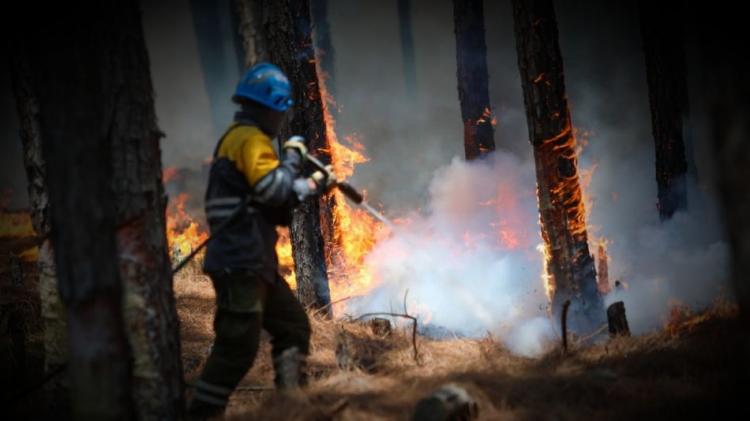 Mons. Margni pidió oración a su diócesis por los incendios en Corrientes Mons. Margni pidió oración a su diócesis por los incendios en Corrientes
