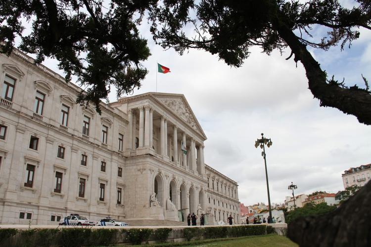 El Parlamento portugués aprueba amnistía para jóvenes presos por la visita del Papa El Parlamento portugués aprueba amnistía para jóvenes presos por la visita del Papa