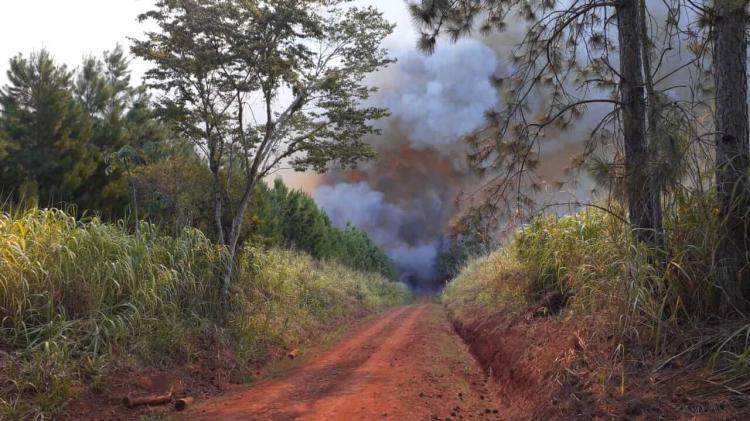 Preocupación de los obispos del NEA ante incendios rurales Preocupación de los obispos del NEA ante incendios rurales