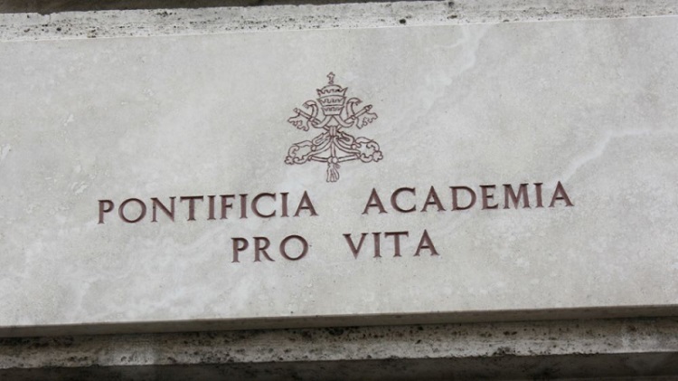 Vaticano: La Academia para la Vida aprueba los trasplantes de animales a humanos